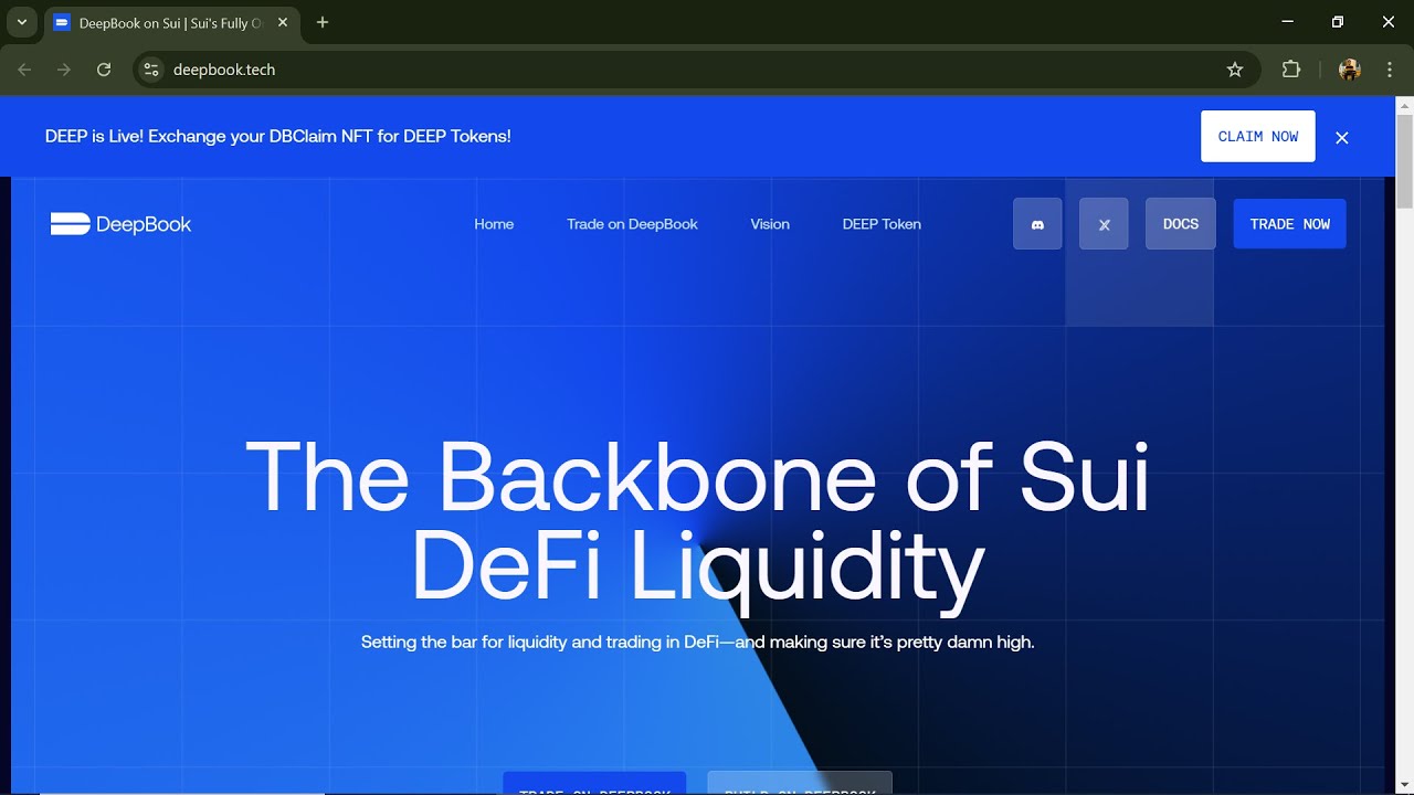 What is DeepBook Protocol (DEEP) Token Coin | Review About DEEP Token