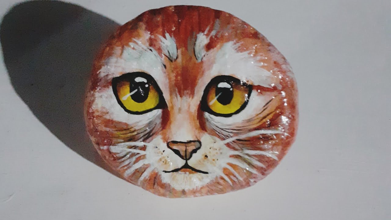 Como pintar el rostro de un gato en una piedra (pasó a pasó)