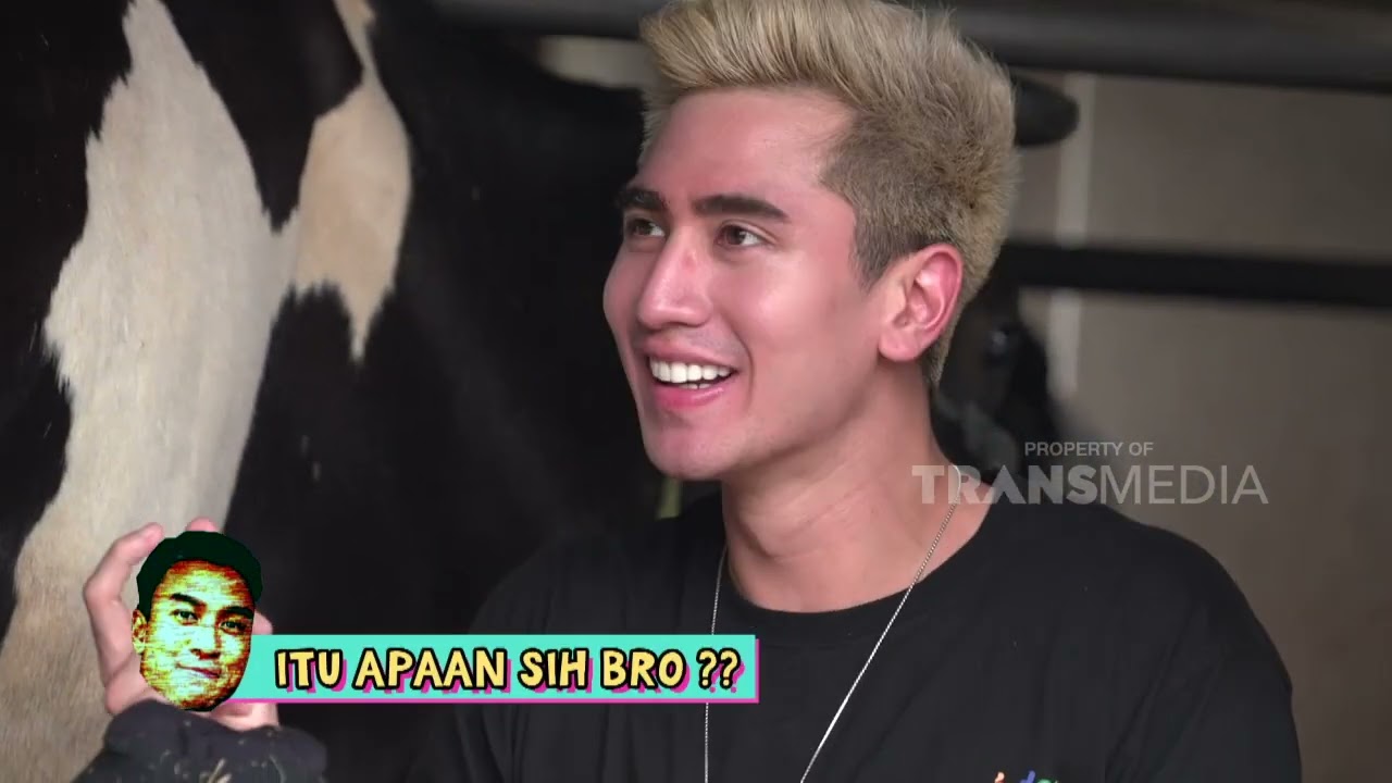 Bisa Bisanya Nih Verrel Bramasta Lagi Kerja Malah Tidur Di Mobil | BOYS DONT CRY (14/8/22) P1