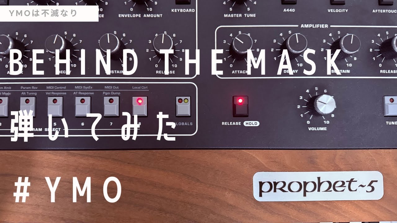 【YMO】Behind the maskを弾いてみた【Cover】