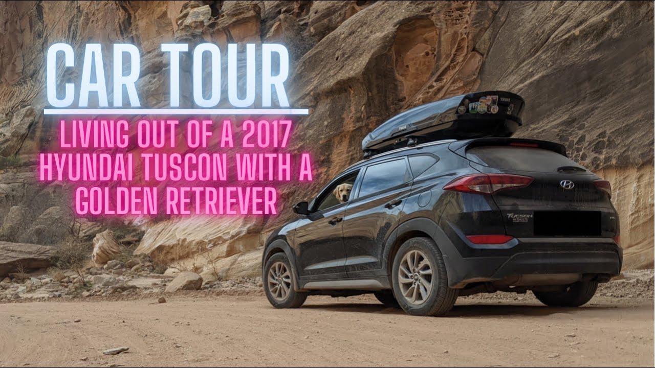 2017 Hyundai Tuscon Overland Car Build/Tour- Living With a Golden Retriever on the Road