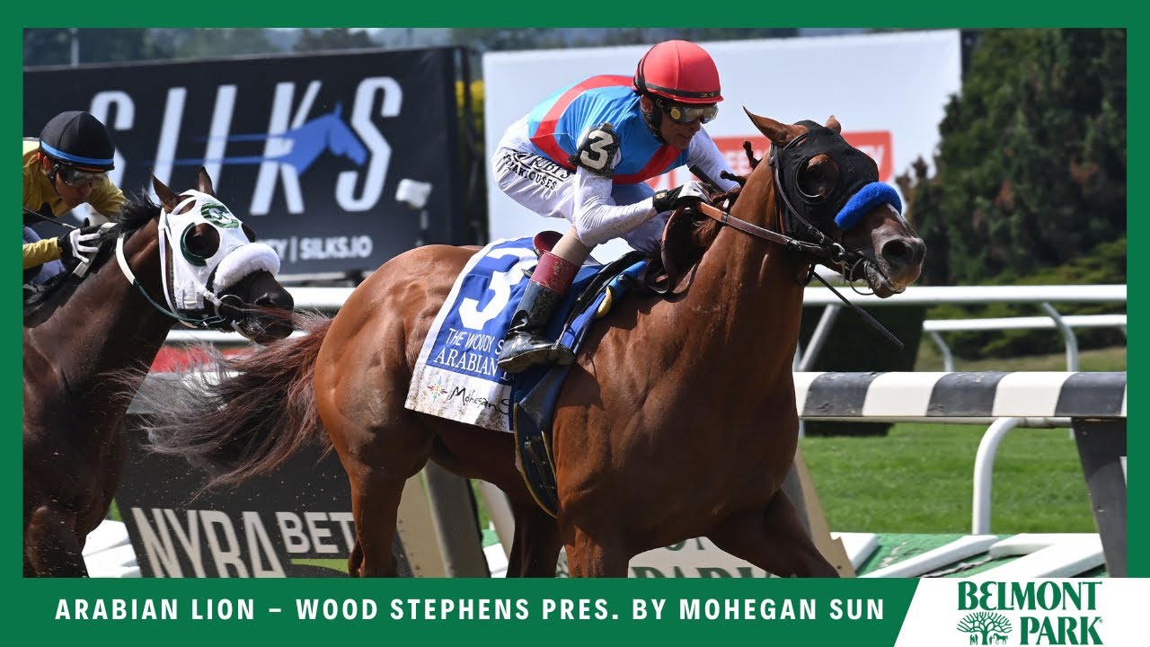 Arabian Lion - 2023 - The Woody Stephens