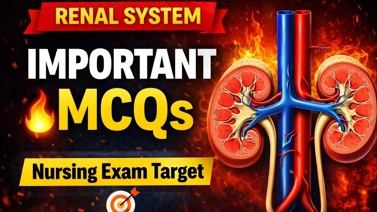 Anatomy – Renal System Important MCQ | BSc Nursing | ANM | GNM | Exam Preparation
