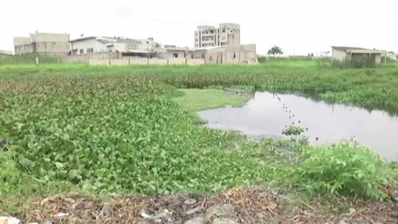 Bénin, TRANSFORMATION DE LA JACINTE D'EAU