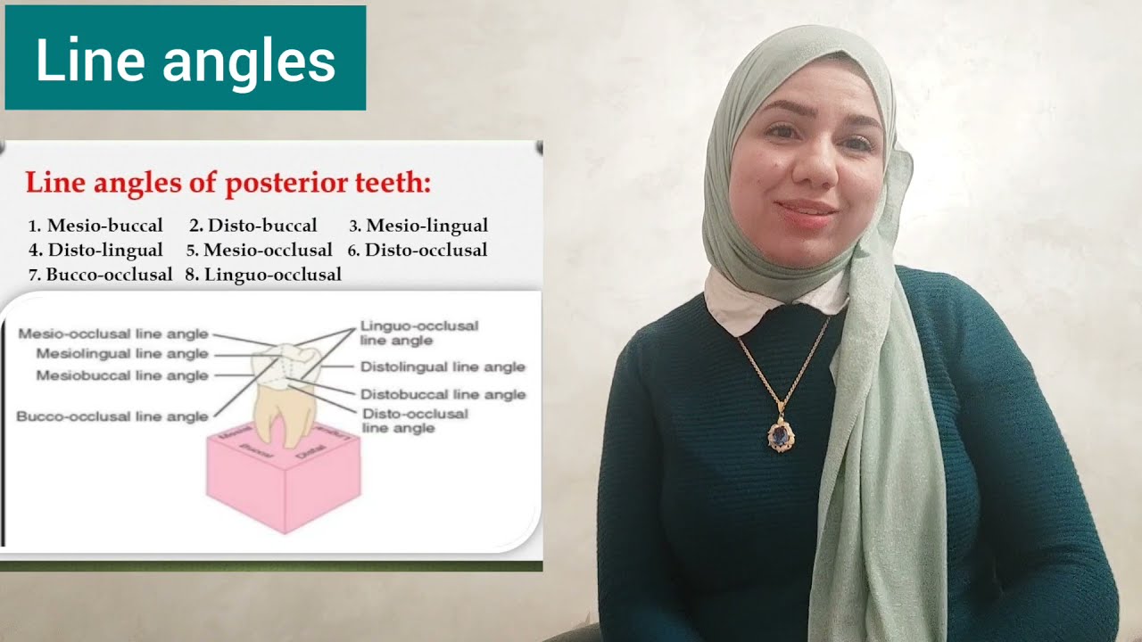 الفرق بين line angle & point angle ??   كم عددهم وكيف بنسميهم ؟؟