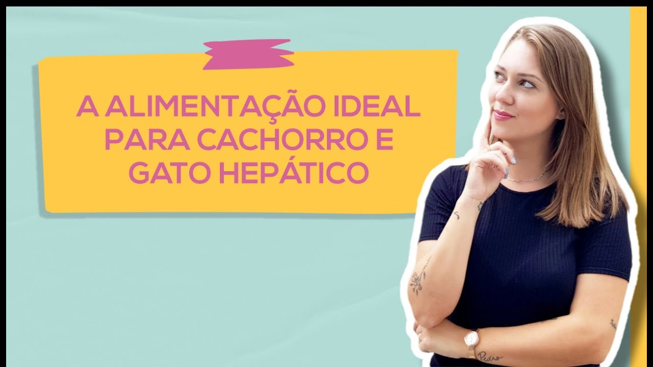 AULA: Alimentação do cachorro hepático | Alimentação do gato hepático