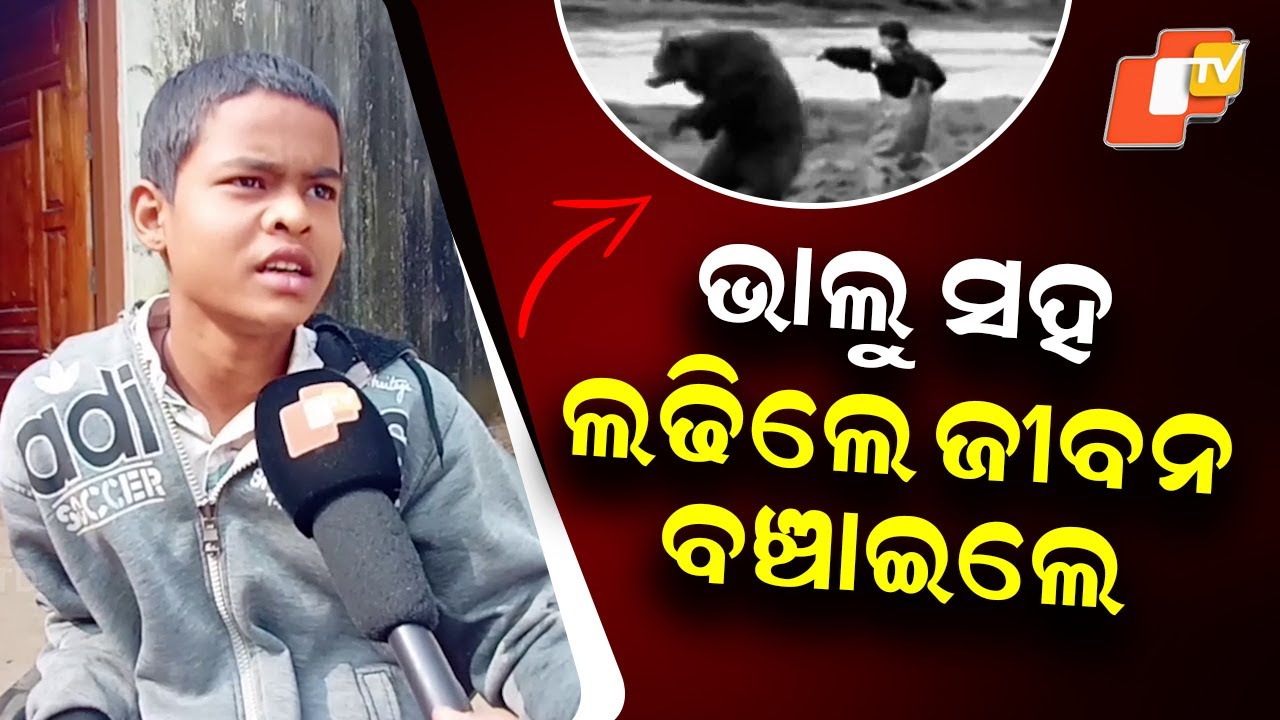 “13-Year-Old Boy Fights Two Bears for 10 Minutes, Survives in Odisha”