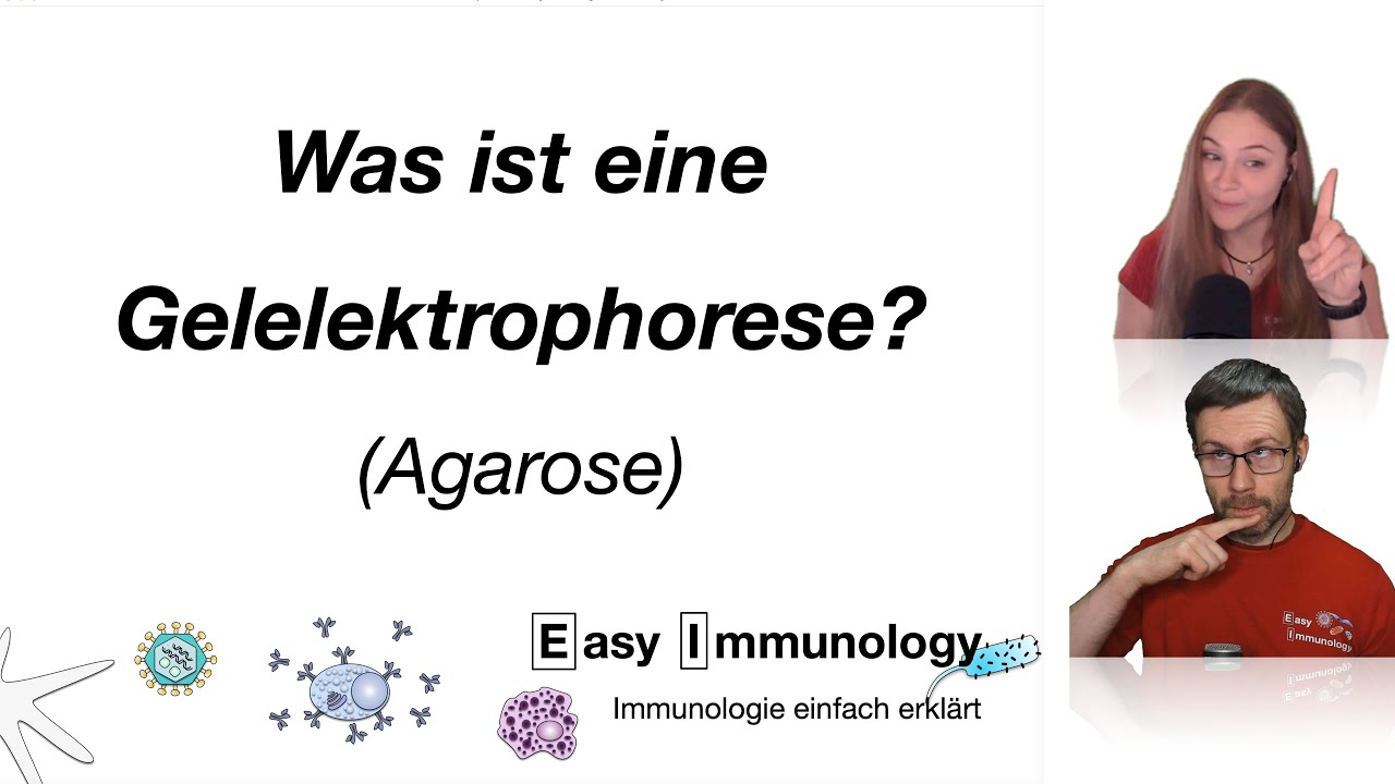 Methoden & Laboralltag: Was ist eine Agarose-Gelelektrophorese?