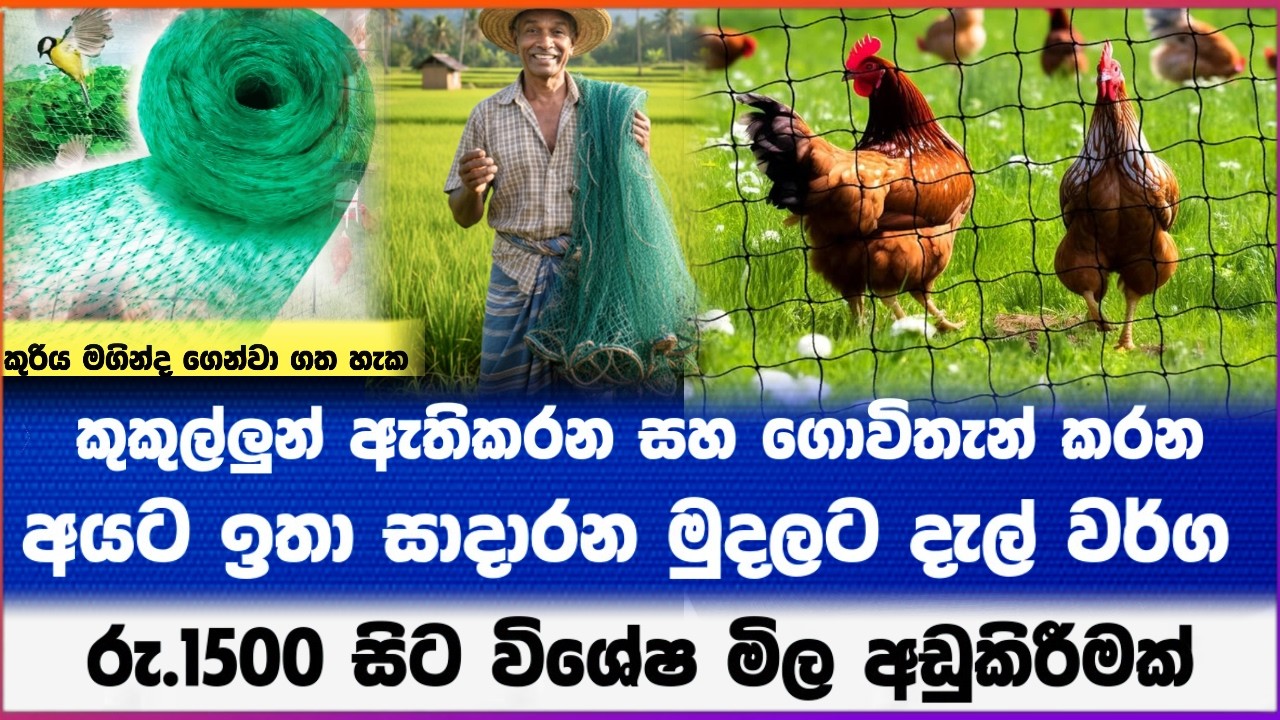 කුකුල්ලුන් ඇතිකරන සහ ගොවිතැන් කරන අයට ඉතා   සාදාරන මුදලට දැල් වර්ග රු.1500 සිට විශේෂ මිල අඩුකිරීමක්