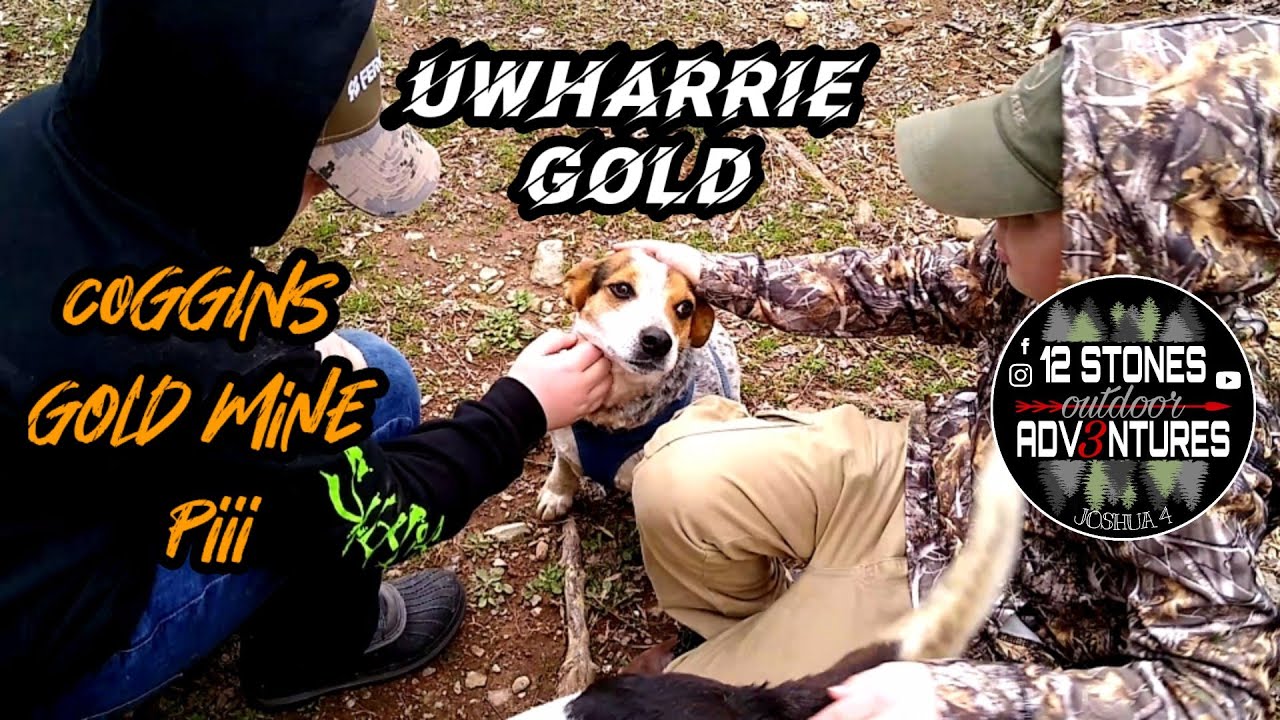 Uwharrie Gold [Coggins Mine tour] part 3