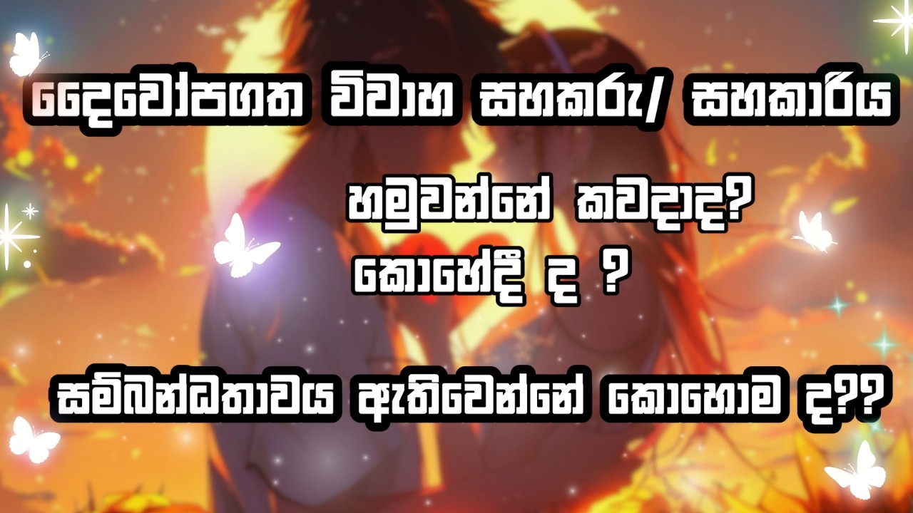 ඔයාගේ දෛවෝපගත විවාහ සහකරු /සහකාරිය හමුවන්නේ කවදාද සහ කොහේද ?💕💖 විවාහ සම්බන්ධතාවය ඇතිවෙන්නේ කොහොම ද💘