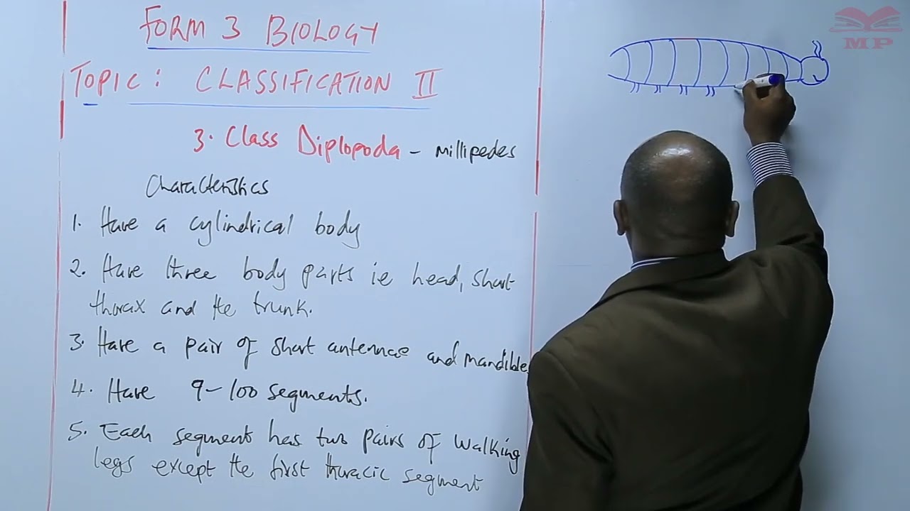 Class Diplopoda_L17