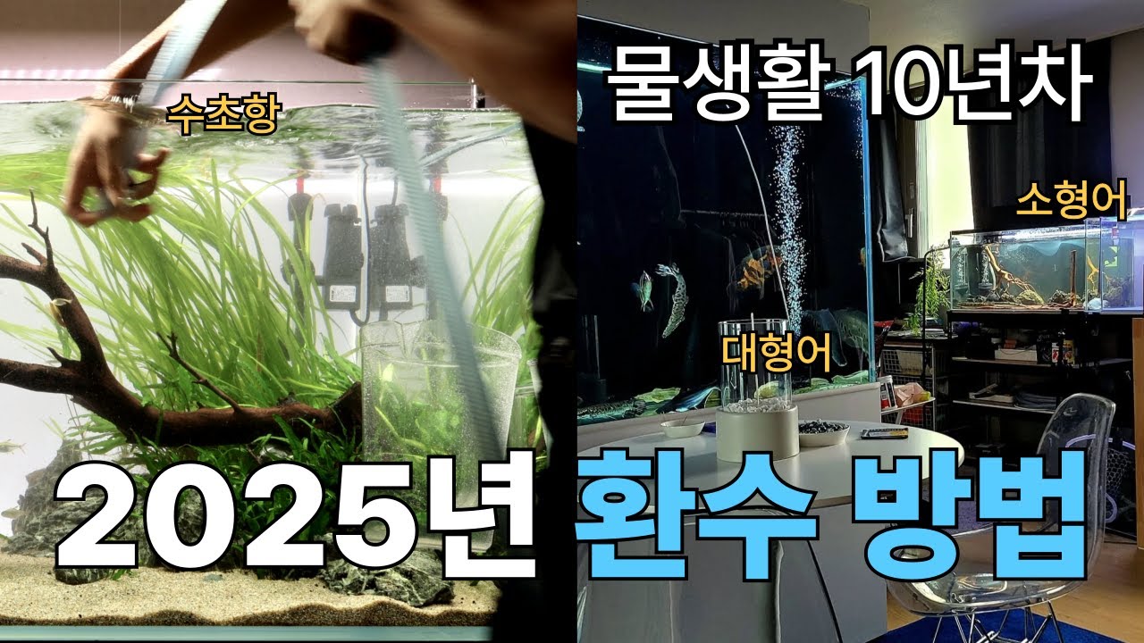 2025 환수 방법 I 어항 청소의 핵심