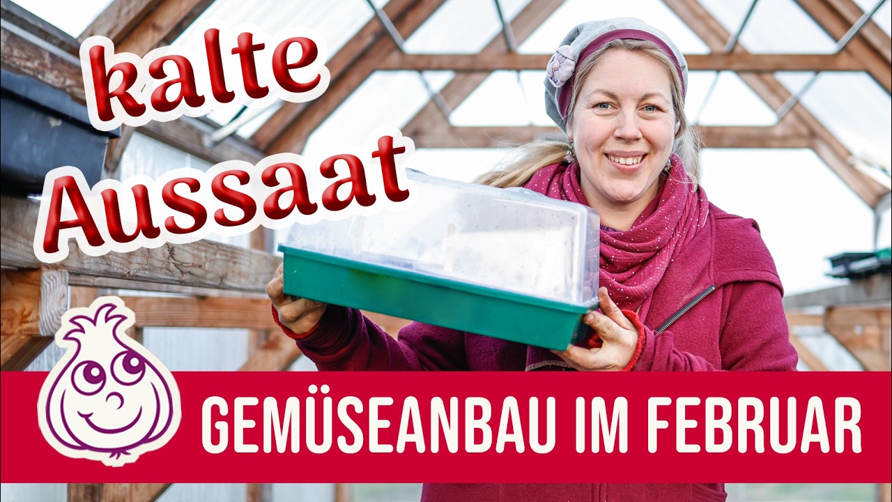 Es geht richtig los, auch schon mit den ersten Bohnen! KI-frei