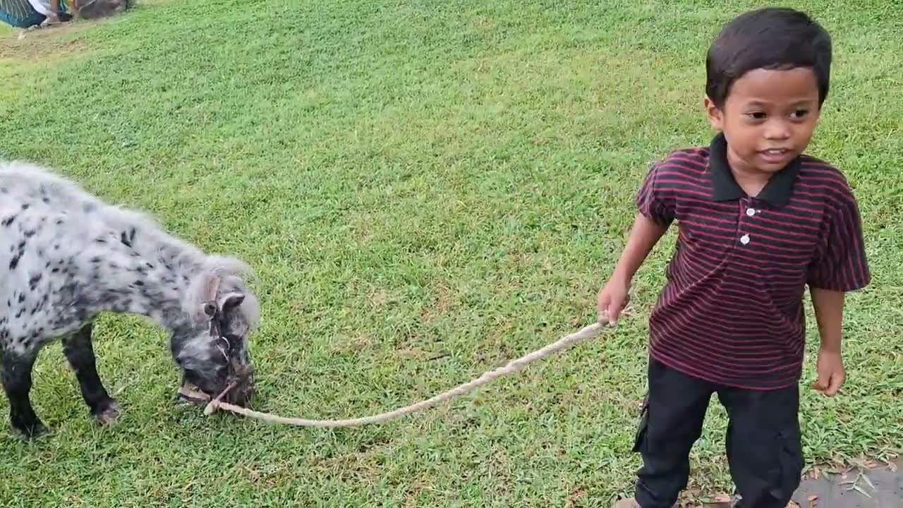 Aldean Suka Main di Jasmine Park