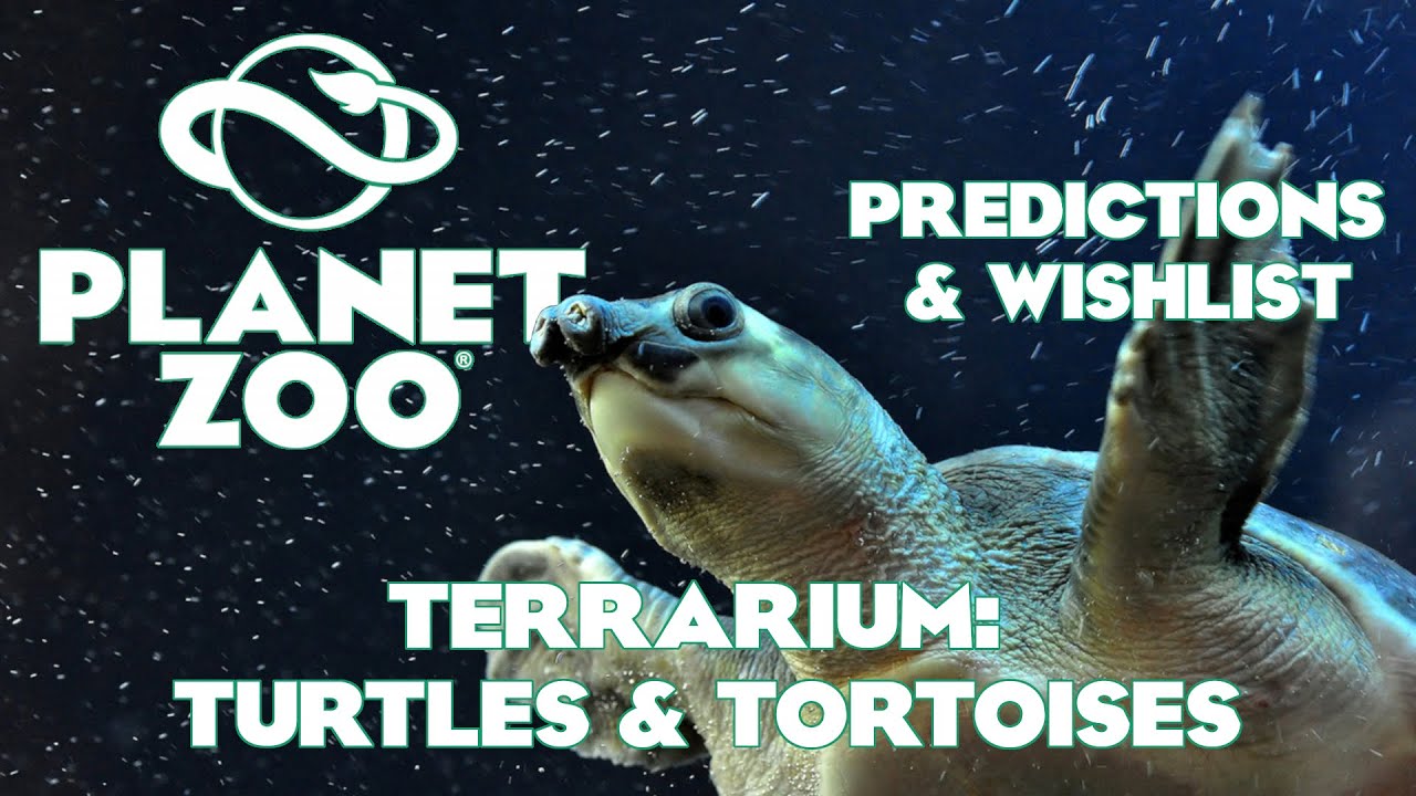 Planet Zoo: прогнозы и список желаемого &mdash; террариумные черепахи