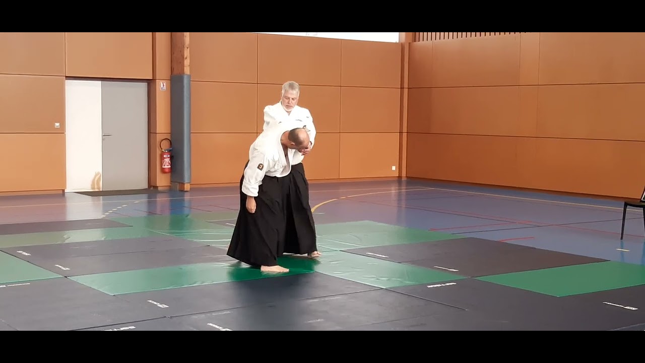 Aihanmi katate dori sankyo omote