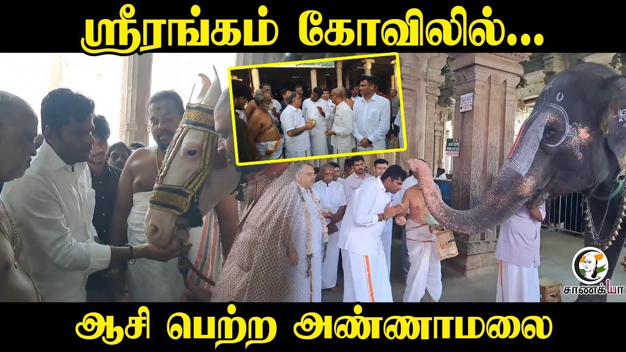 ஸ்ரீரங்கம் கோவிலில்.. ஆசி பெற்ற Annamalai | Srirangam Temple