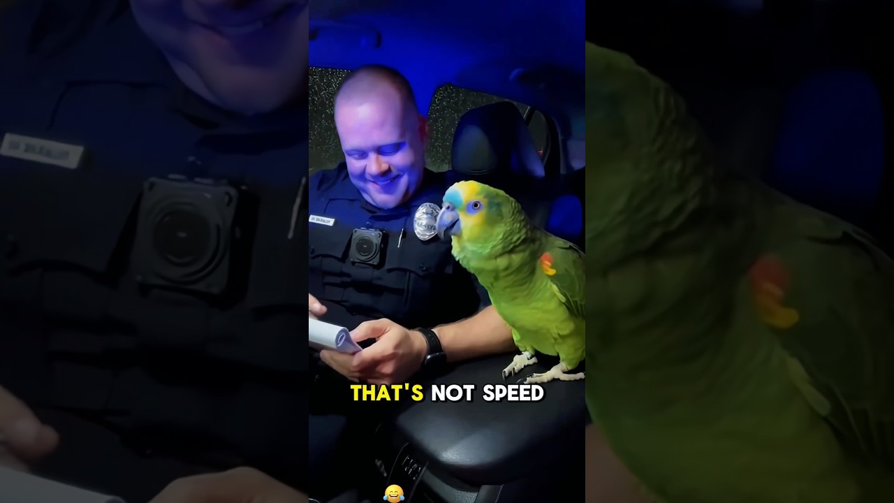 B*tch parrot and cop 👮&zwj;♀️ 🦜 #funny #fyp #parrot #bird #viral #shorts