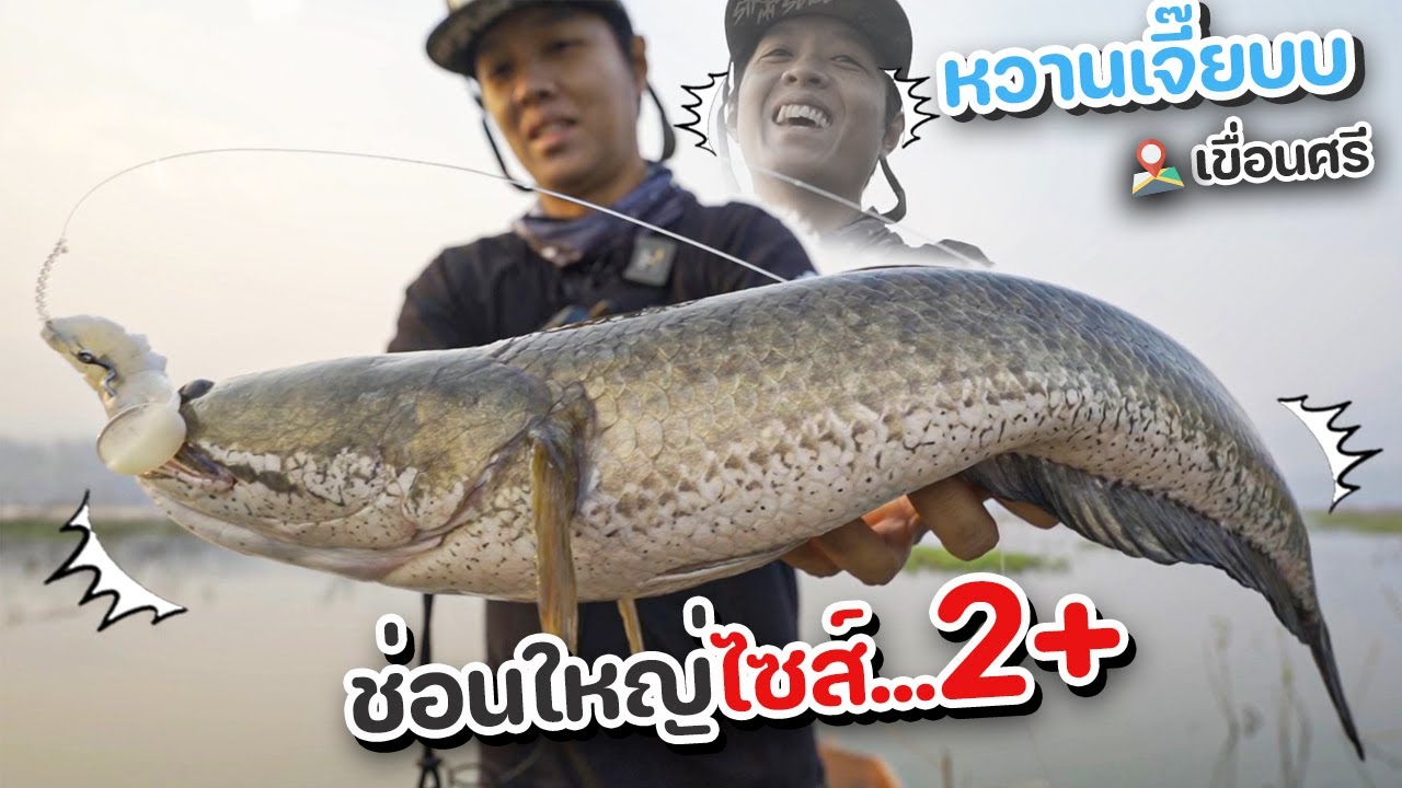เกือบหลับแต่กลับมาได้...มาตามหาไอ้ล่อนกลับได้โคตรช่อนไซส์ 2โลกว่ามาแทน