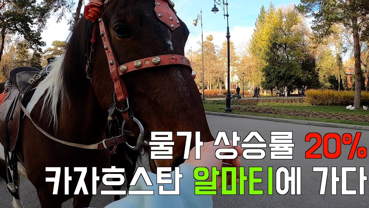 연간 물가상승률 20%, 카자흐스탄 알마티에 가다 [카자흐스탄-3]