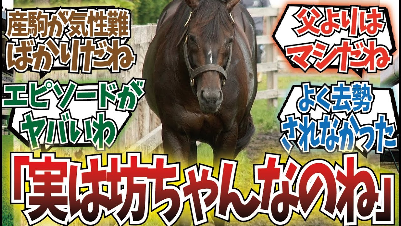 「ステイゴールドはいかれた血」に対するみんなの反応集