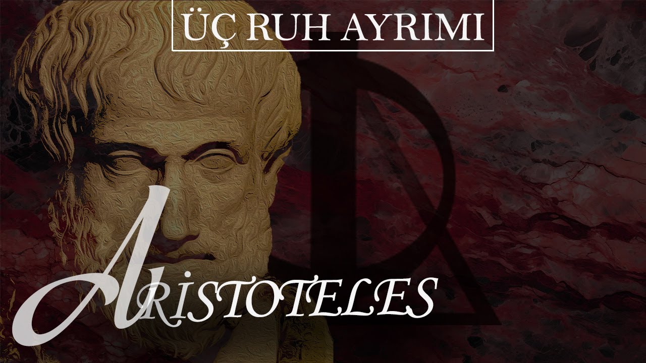 Aristoteles Felsefesinde Üç Ruh Ayrımı