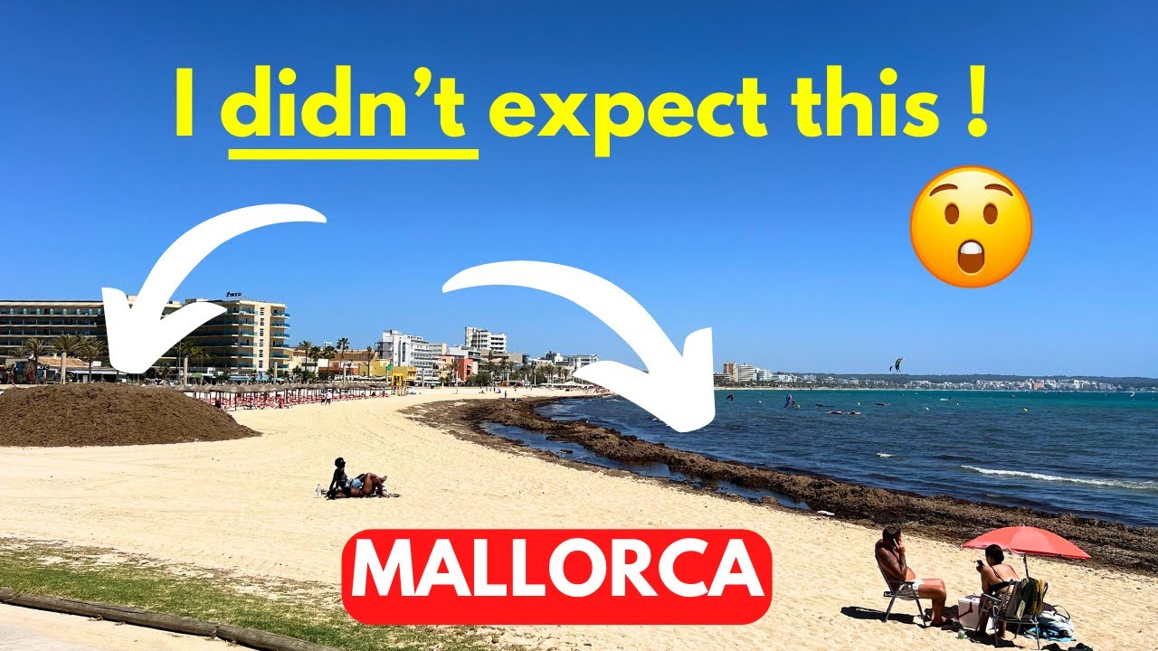 Мини-гид по CAN PASTILLA, Майорка, 2024 | Я делаю шокирующее открытие