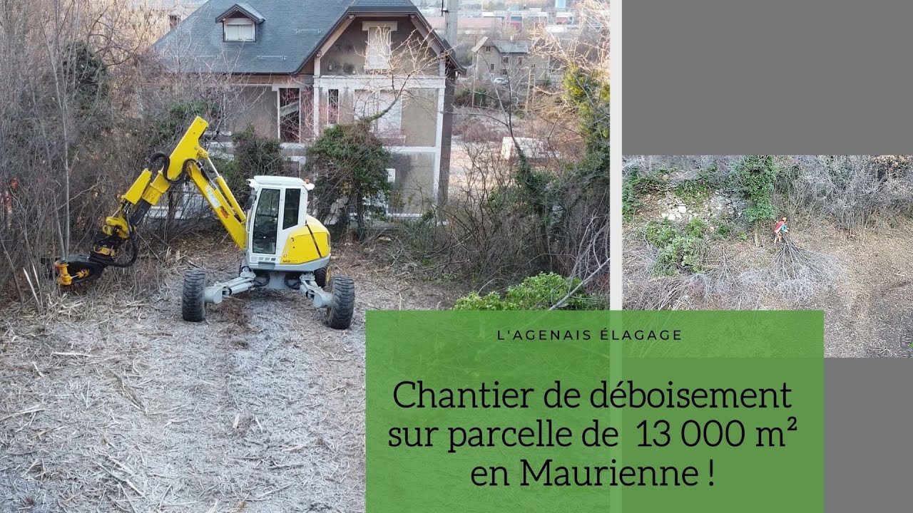Déboisement sur 13000m² ! - l'Agenais Élagage