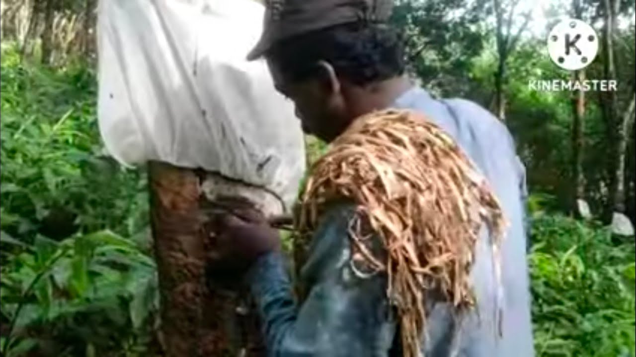 (part)ഒട്ടുകറ  (scrap)വിപണനം നടത്തുമ്പോൾ അറിഞ്ഞിരിക്കേണ്ട കാര്യങ്ങൾ