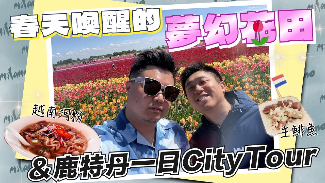 🌷 荷蘭一日遊｜鹿特丹+鬱金香花田+必吃美食 🇳🇱
