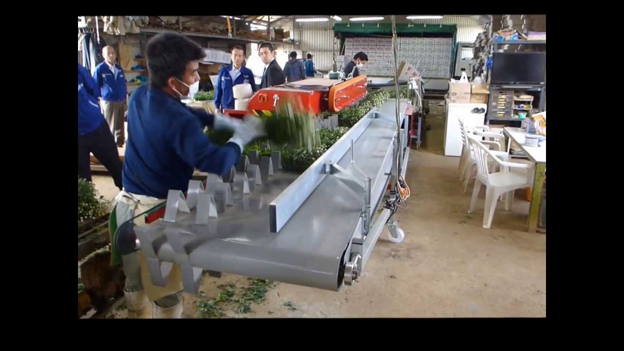 BTM T2200 Flower Processing Line