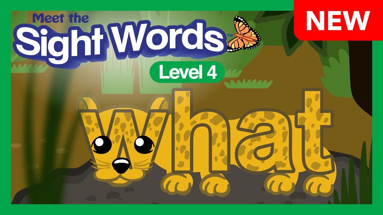 NEW! Meet the Sight Words Level 4 - 