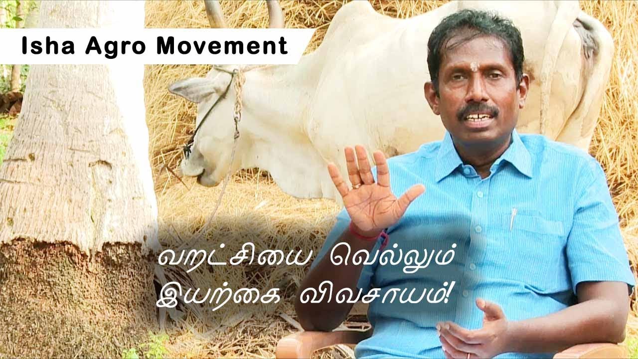 2 வருட வறட்சியை தாங்கி நிற்கும் தென்னை மரங்கள் சாதித்த பொறியாளர்! PART-2