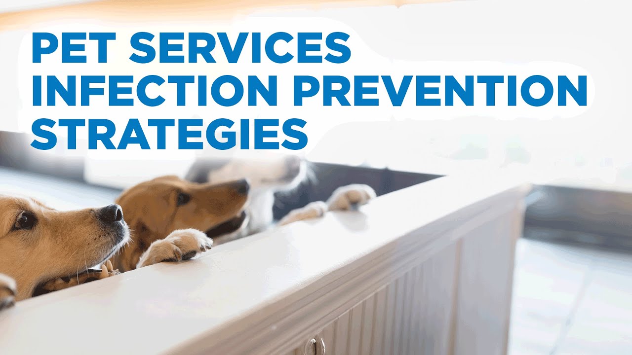 Pet Services Infection Prevention Strategies with Dr. Jason Stull | Rescue Disinfectants