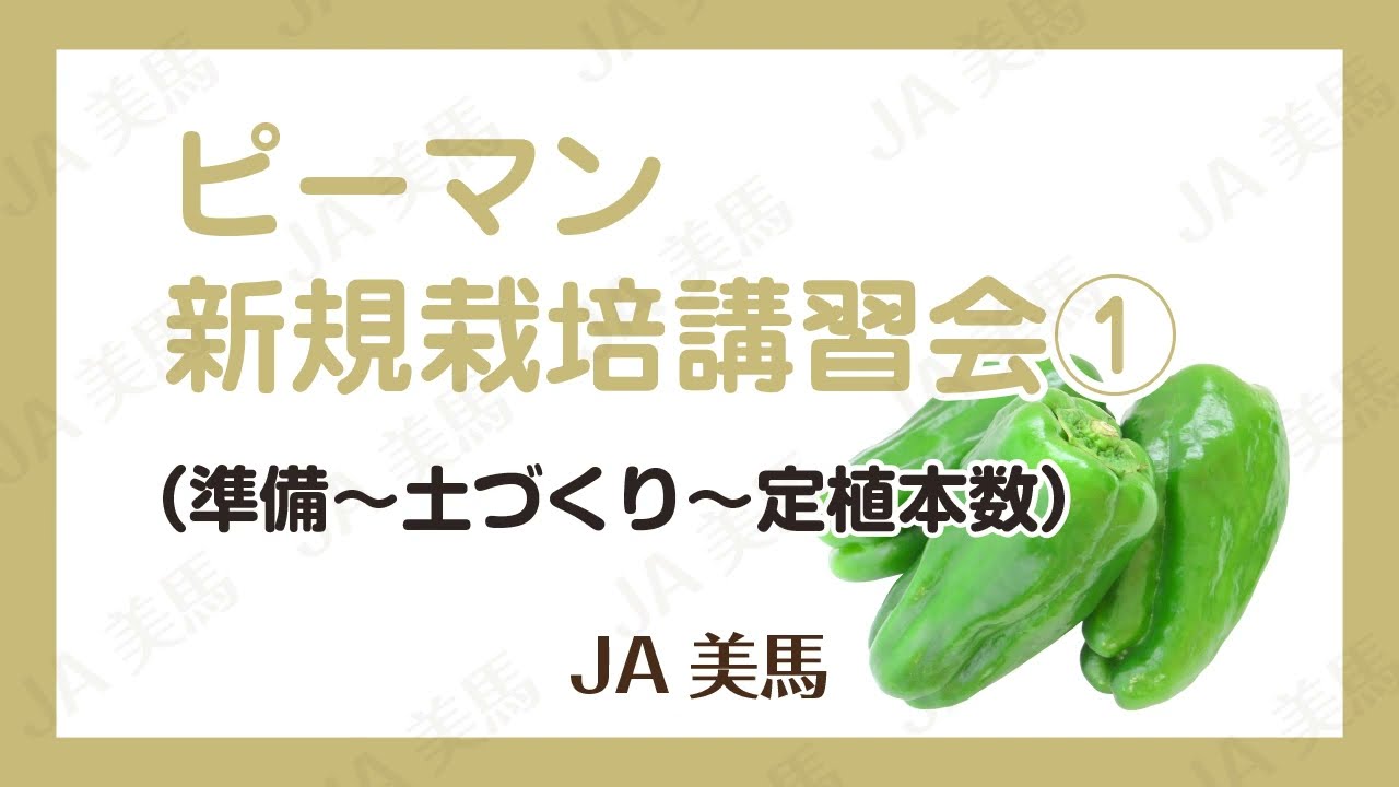 ピーマン新規栽培講習会①（準備～土づくり～定植本数）