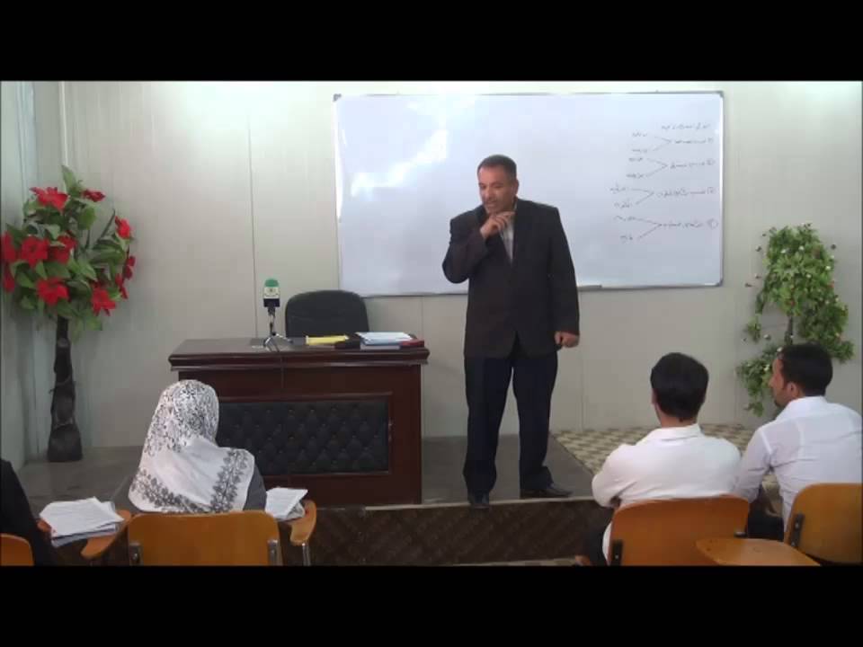 التغذية الراجعة
