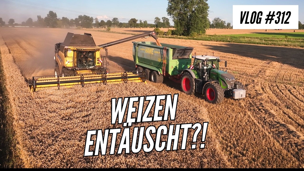 Vlog 312 Der erste Schaden nach 160mm Regen! Alles nur noch Futter?