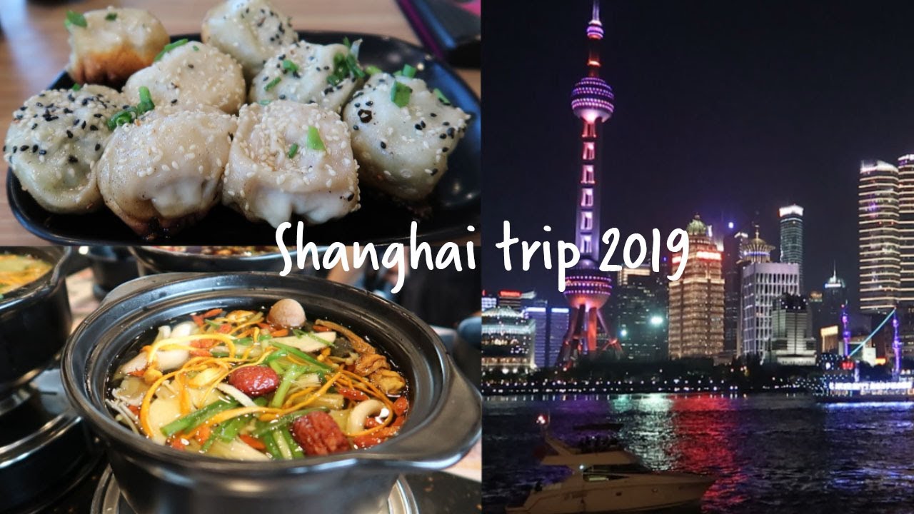 2019 Shanghai Trip Vlog | Street Food, Cat Cafe, Oriental Pearl Tower, and More!