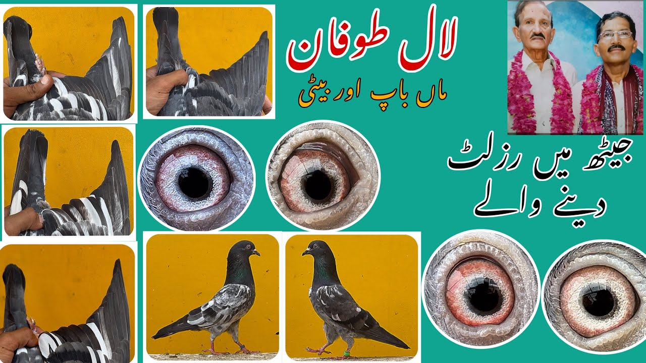 لال طوفان||استاد امتیاز حسین والے لال طوفان||گرمی والے||ماں باپ اور بیٹی 