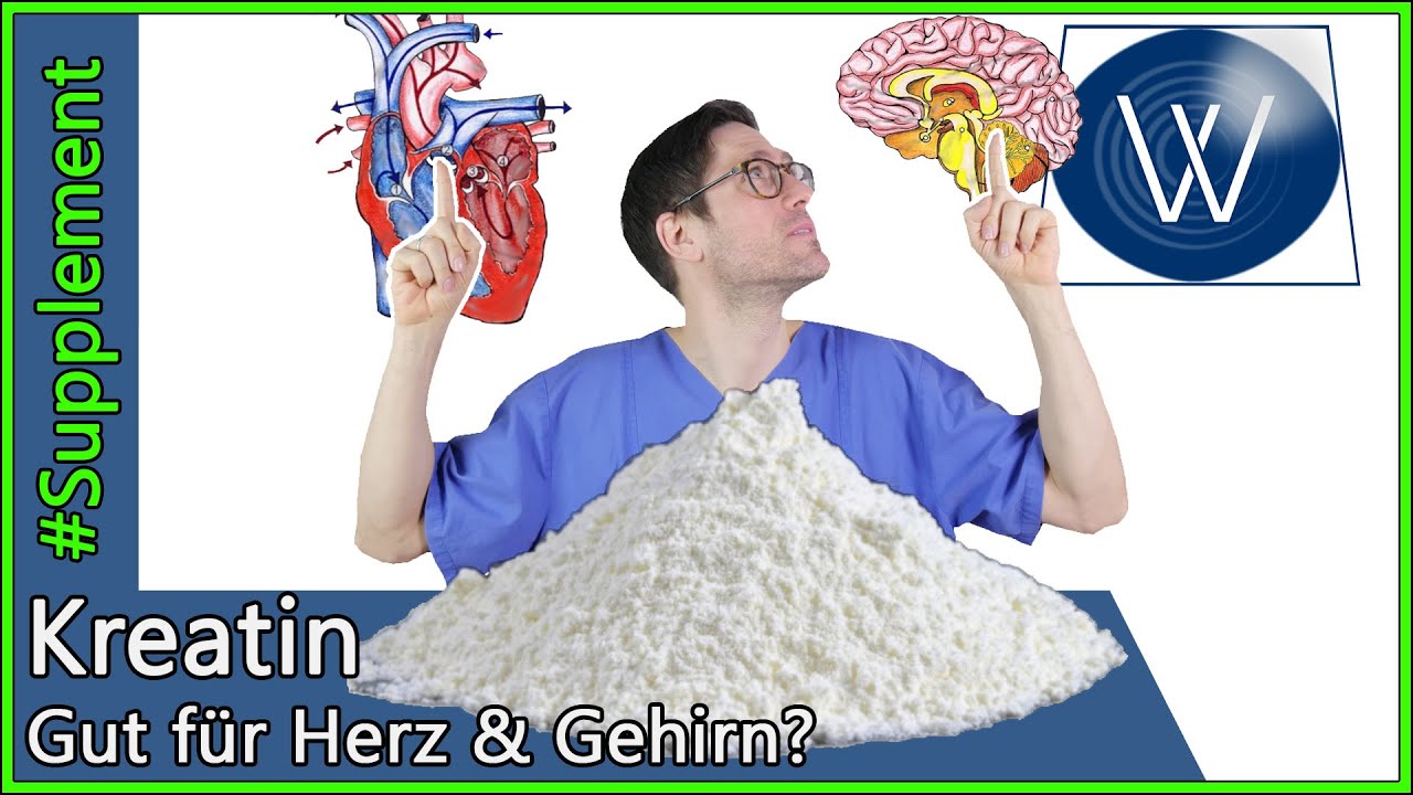 Kreatin: Wirkung & Prophylaxe - Können auch unser Herz, Knochen & Gehirn vom Supplement profitieren?