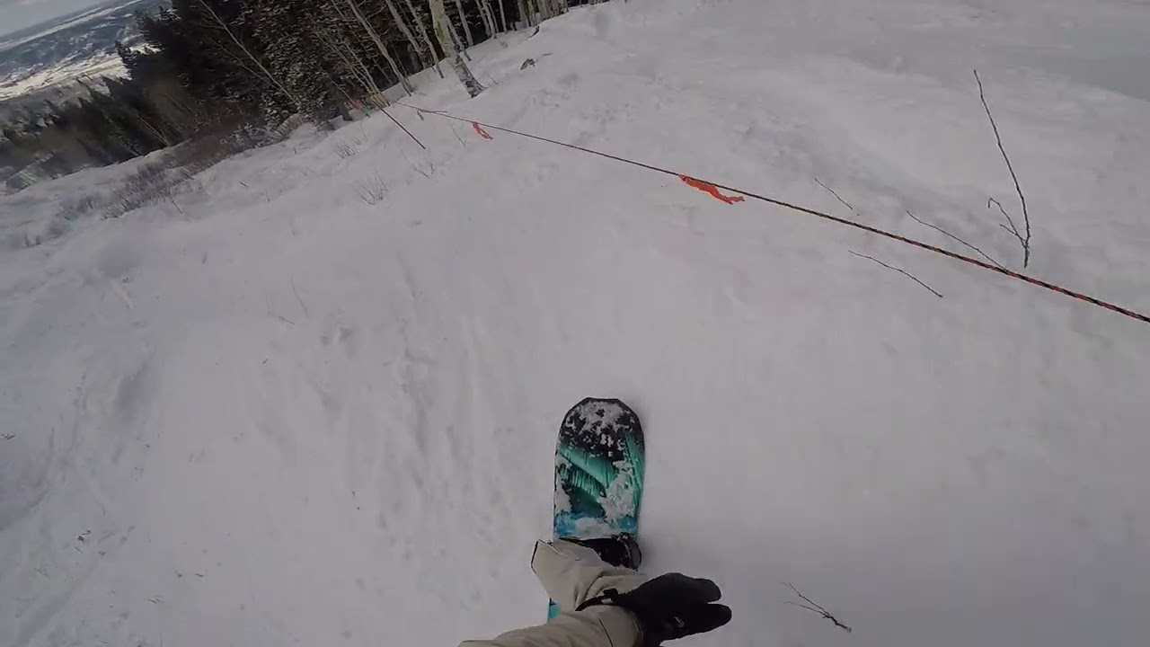 1-31-26 (3)