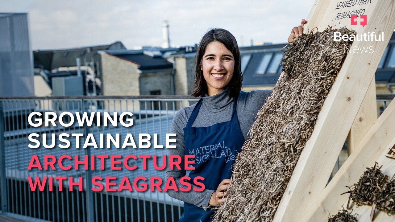 This designer is reshaping Denmark&rsquo;s architectural landscape with eelgrass | Beautiful News