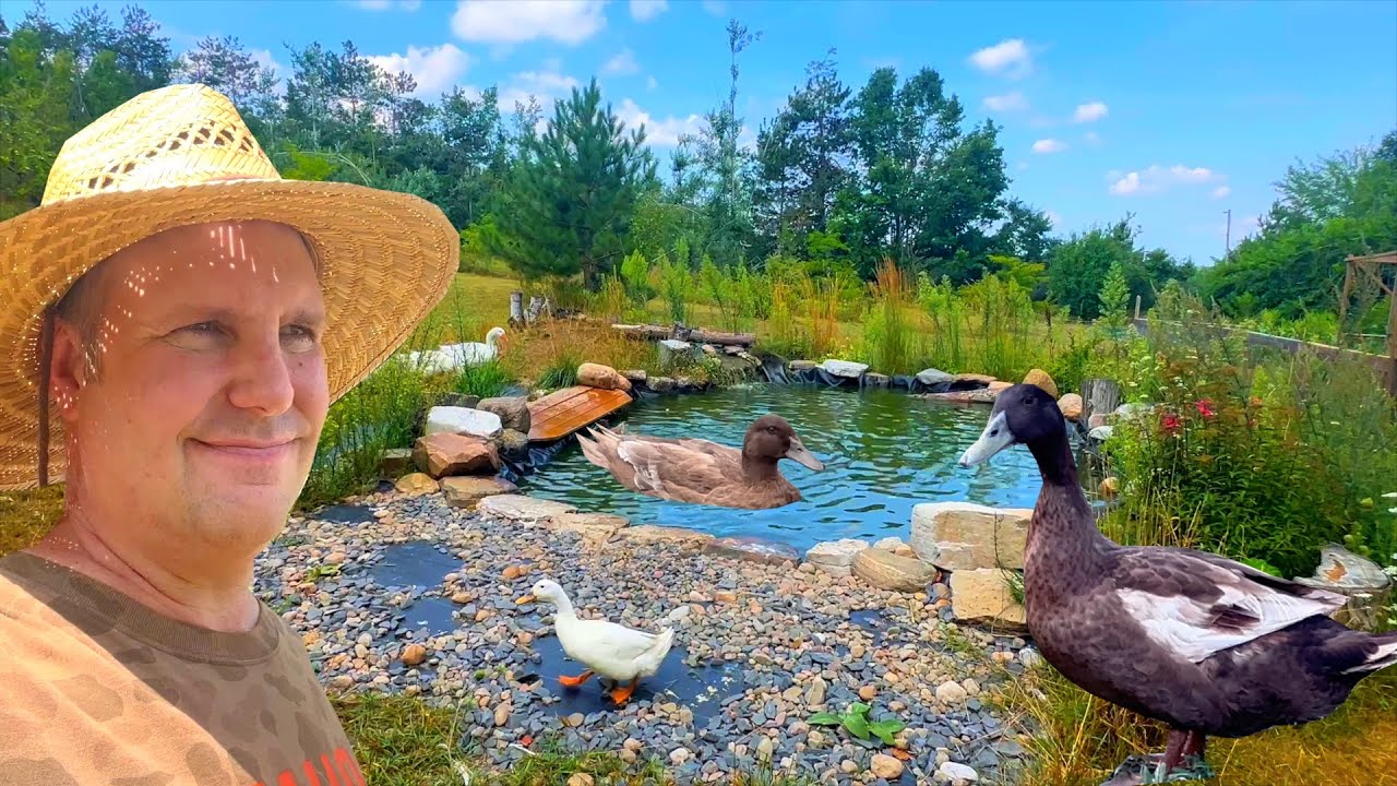 Integrating New Ducks into the Flock