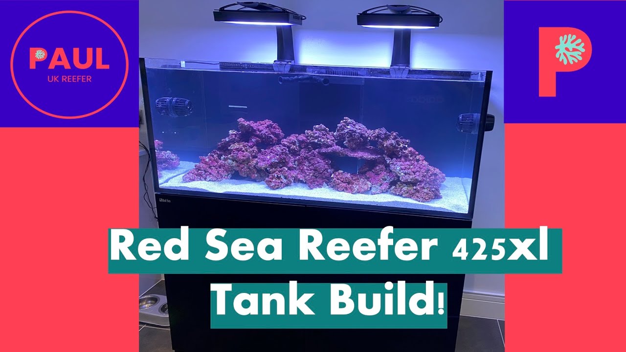 Red Sea Reefer 425 XL reef tank arrival, build and installation ! #reeftank #reeftankbuild