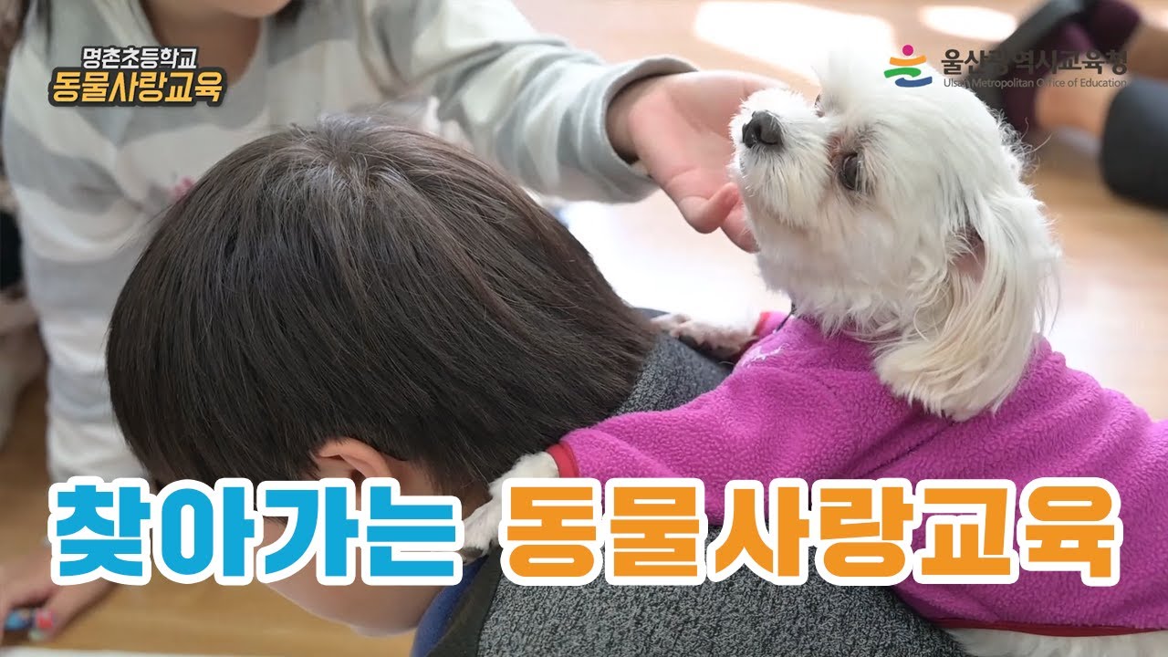 [찾아가는 동물사랑교육] 명촌초등학교 편