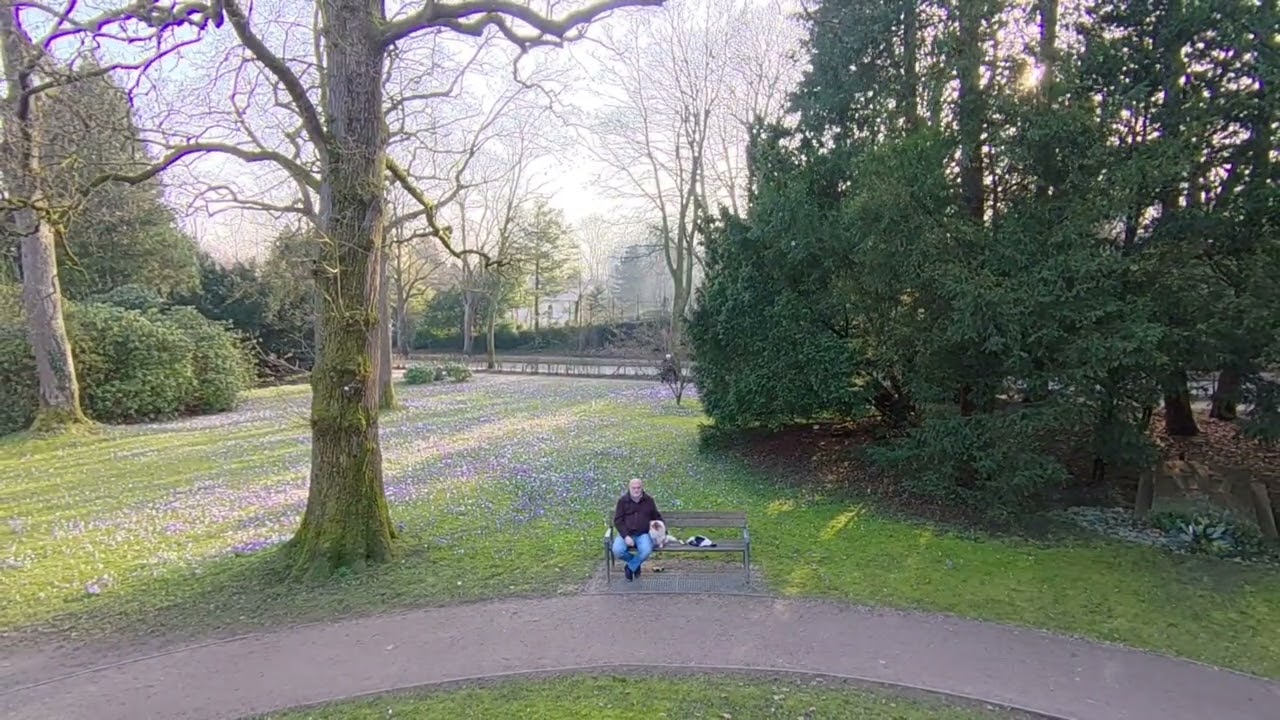 Frühling in Flensburg 