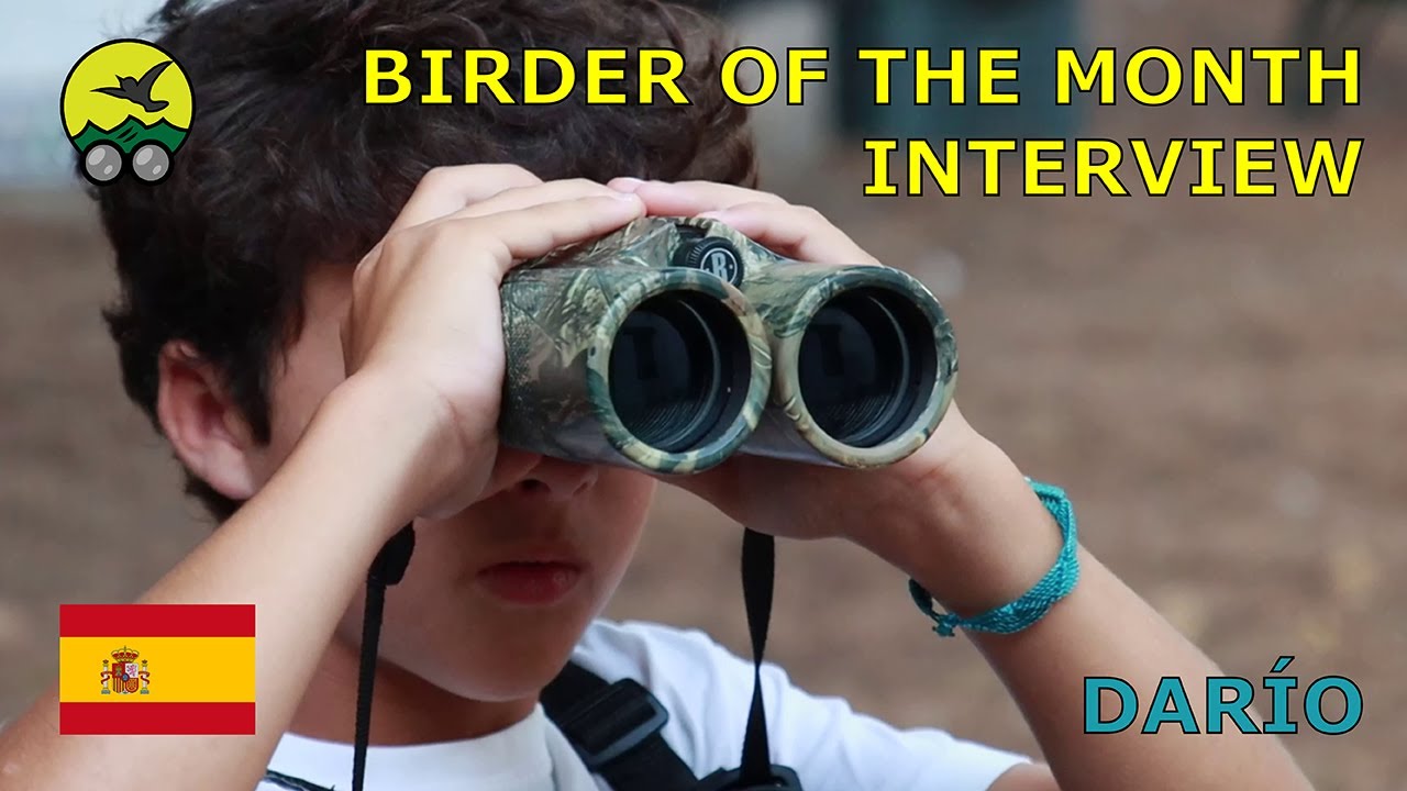 Birder of the Month Interview: Darío