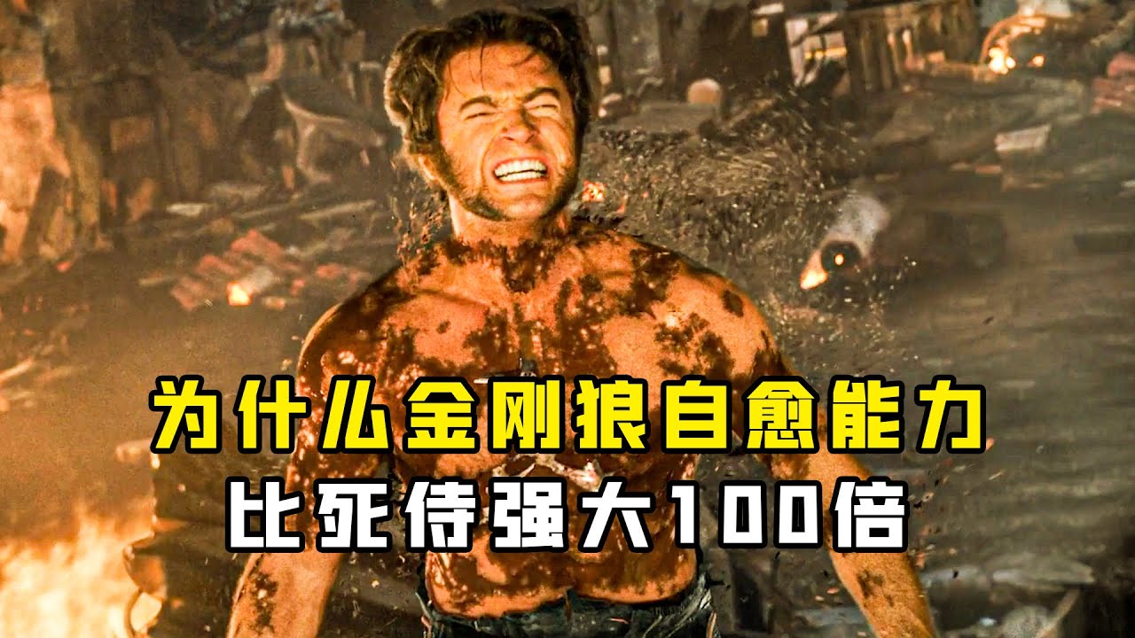 深度解析：为什么金刚狼的&ldquo;真实自愈能力&rdquo;比死侍强大100倍？ #漫威 #金刚狼  #死侍