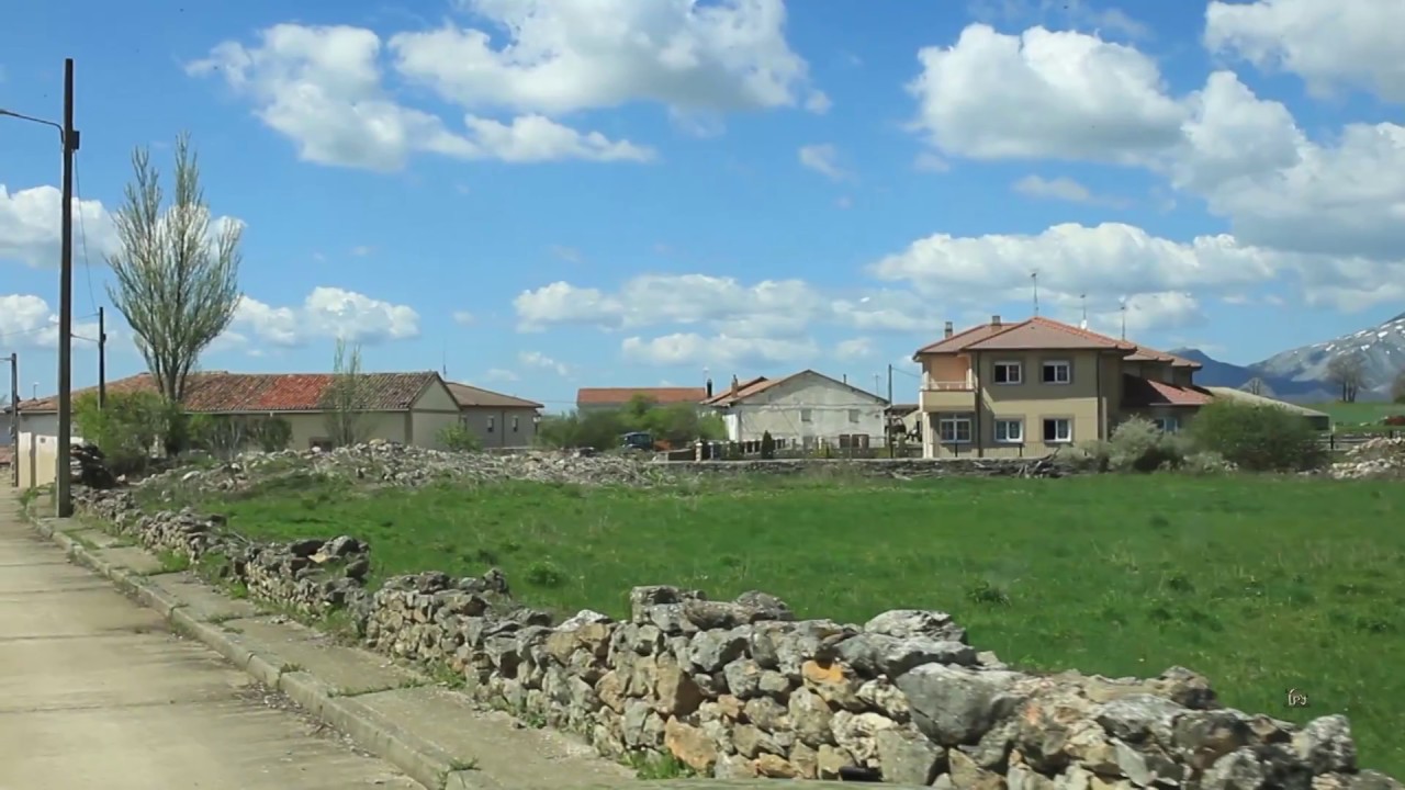 Pisón de Castrejón